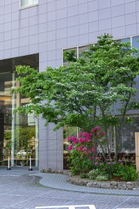 グリーンビル促進事業　空地植栽