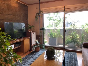 ベランダ　プランター植栽
