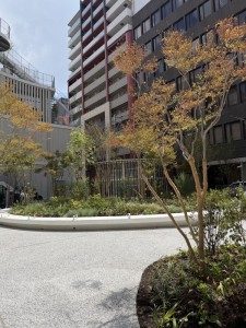 cozyの庭　
