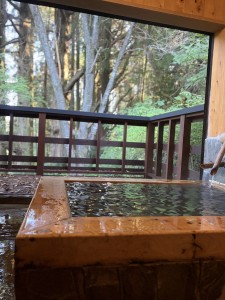 cozyの庭
