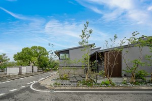 cozyの庭