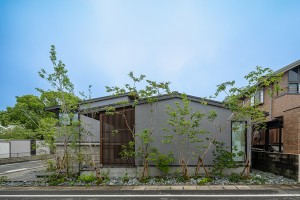 cozyの庭